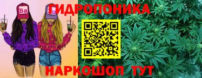 ГАЛЛЮЦИНОГЕННЫЕ ГРИБЫ Саяногорск