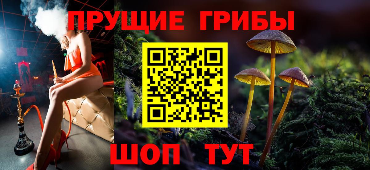 Псилоцибиновые грибы Psilocybine cubensis Губкинский