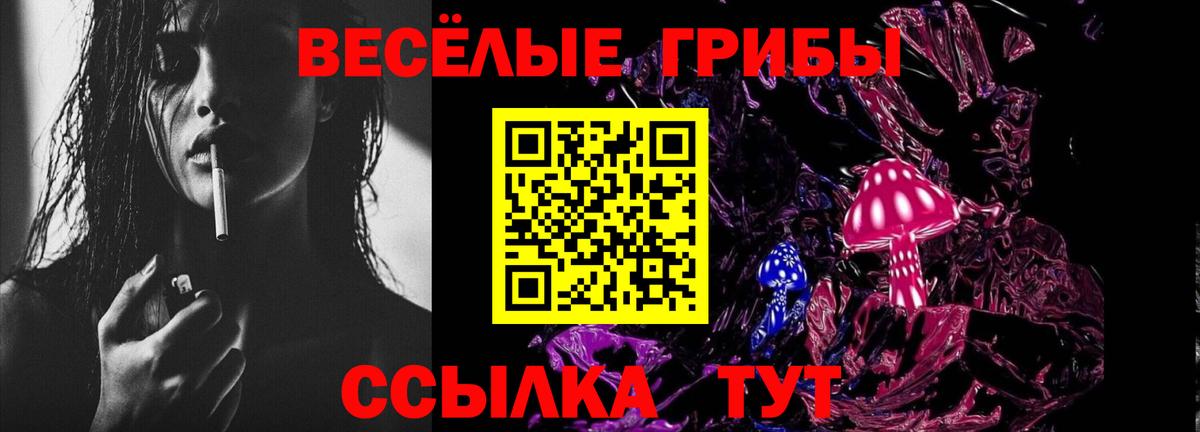 Галлюциногенные грибы ЛСД  Вход с VPN  Губкинский 